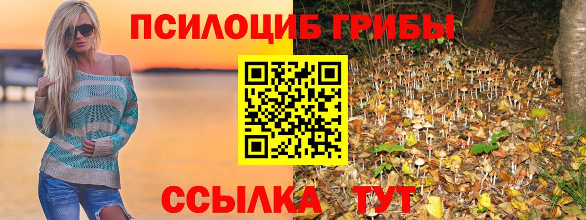 Галлюциногенные грибы Psilocybine cubensis  Вход с VPN  цены наркотик  Галлюциногенные грибы Psilocybe  Белебей 